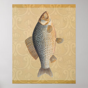 Vintage Fish Artwork Drawing Poster