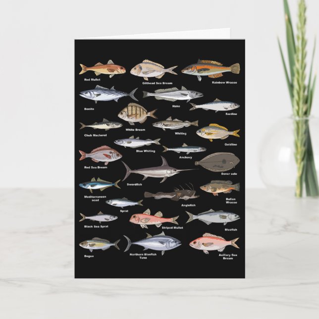 Vintage Fish Identification Chart Fishing  Card (Front)