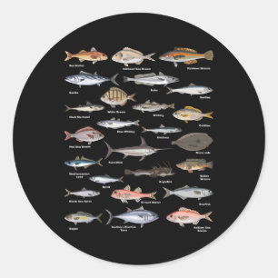 Vintage Fish Identification Chart Fishing Classic Round Sticker