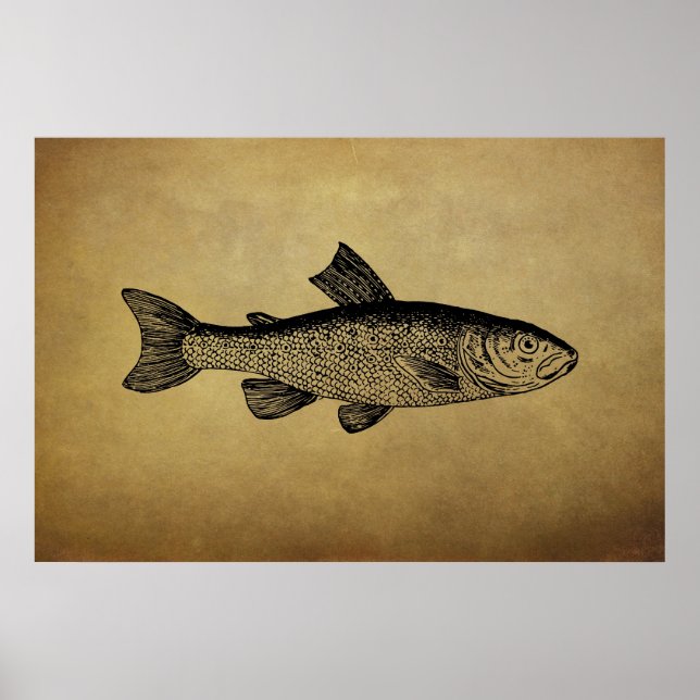 Vintage Fish Illustration Poster (Front)