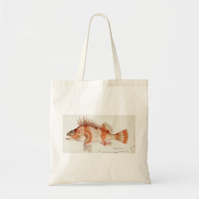 Vintage Fish Illustration Tote Bag (Front)