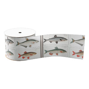 Vintage Fish Illustrations Grosgrain Ribbon