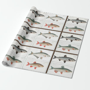 Vintage Fish Illustrations Wrapping Paper