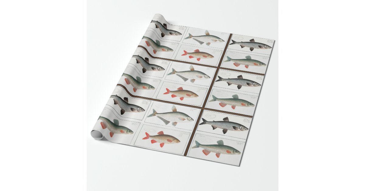 fish wrapping paper Looking for the perfect gift wrapping paper for any occasion buy your gift wrap roll online now. fish wrapping paper Looking for the perfect gift wrapping paper for any occasion buy your gift wrap roll online now.
