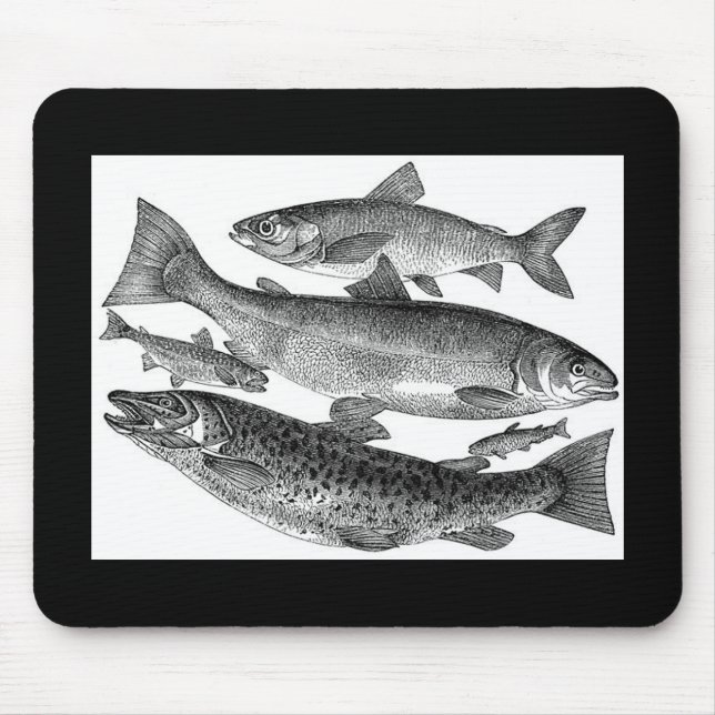 Vintage Fish Print Mouse Pad (Front)