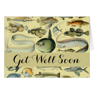 Vintage Fish Scientific Fishing Art