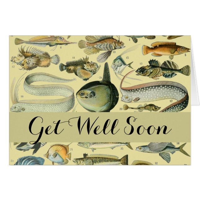 Vintage Fish Scientific Fishing Art (Front Horizontal)