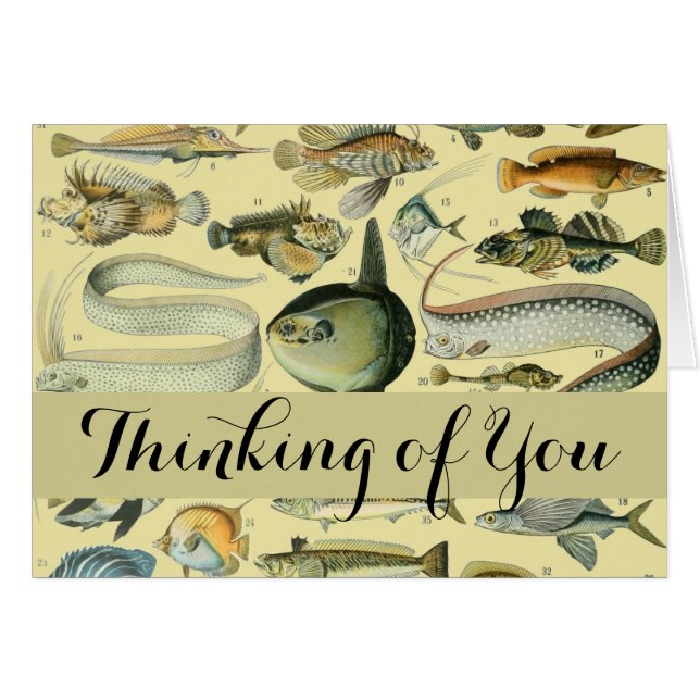 Vintage Fish Scientific Fishing Art (Front Horizontal)