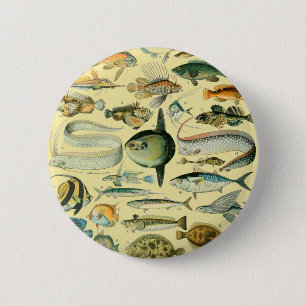 Vintage Fish Scientific Fishing Art 6 Cm Round Badge