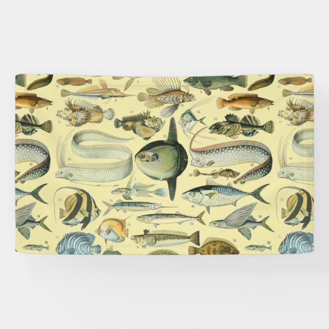 Vintage Fish Scientific Fishing Art Banner (Horizontal)