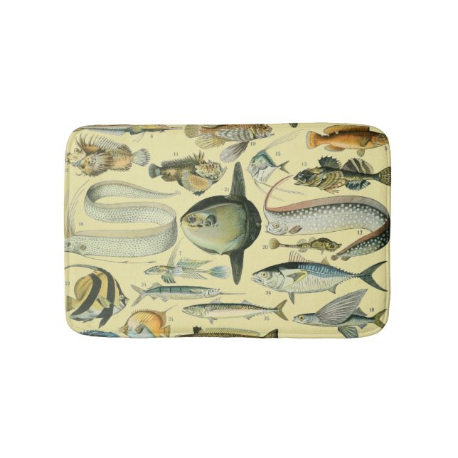 Vintage Fish Scientific Fishing Art Bath Mat (Front)