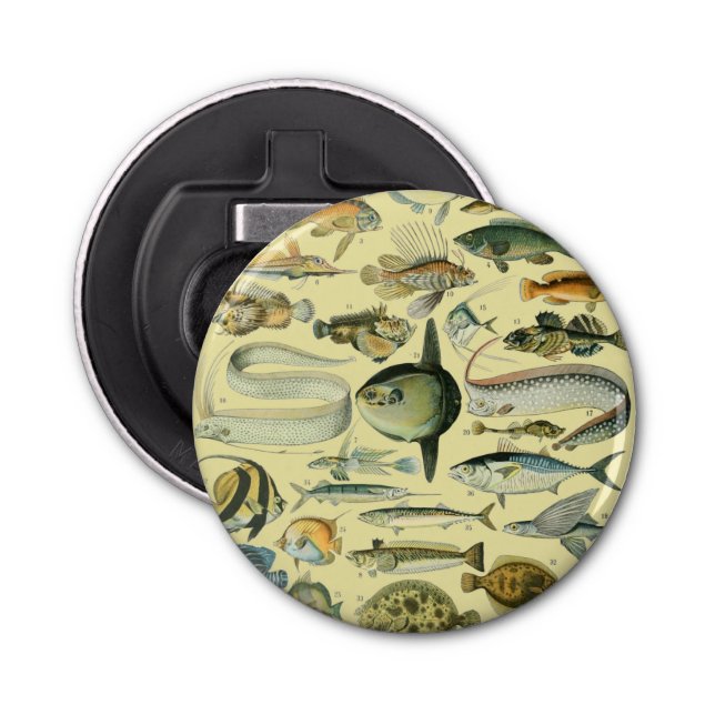 Vintage Fish Scientific Fishing Art Bottle Opener (Front)