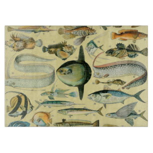 Vintage Fish Scientific Fishing Art Cutting Board