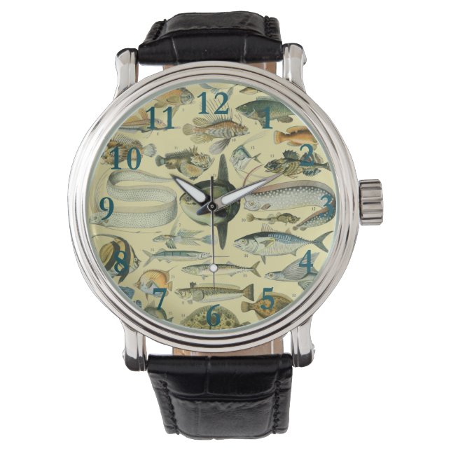Vintage Fish Scientific Fishing Art Watch (Front)