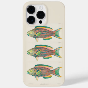 Vintage Fish Scientific Illustration  Case-Mate iPhone 14 Pro Max Case