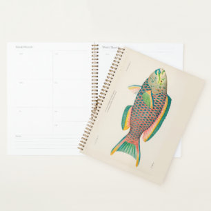 Vintage Fish Scientific Illustration  Planner