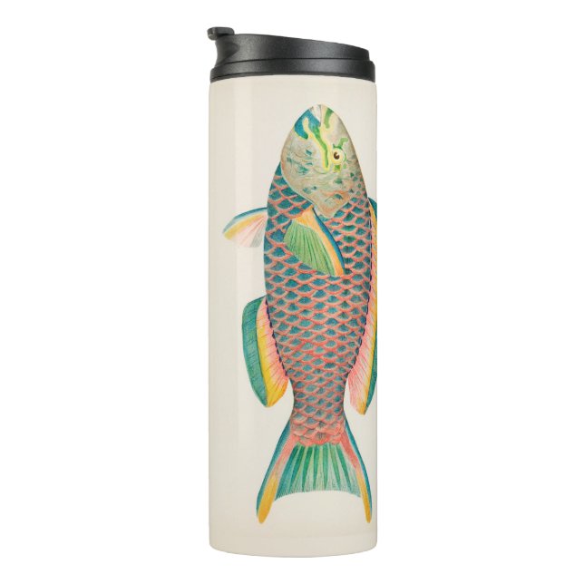 Vintage Fish Scientific Illustration  Thermal Tumbler (Rotated Right)