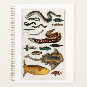 Vintage Fish Sea Ocean, beach, blue, water Planner