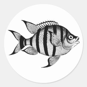 Vintage fish sealife ocean animals illustration Classic Round Sticker