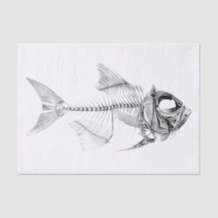 Vintage fish skeleton etching tissue paper