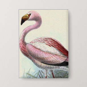 Vintage Flamingo