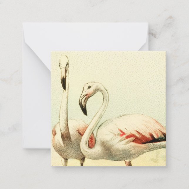 Vintage Flamingo Card (Front)