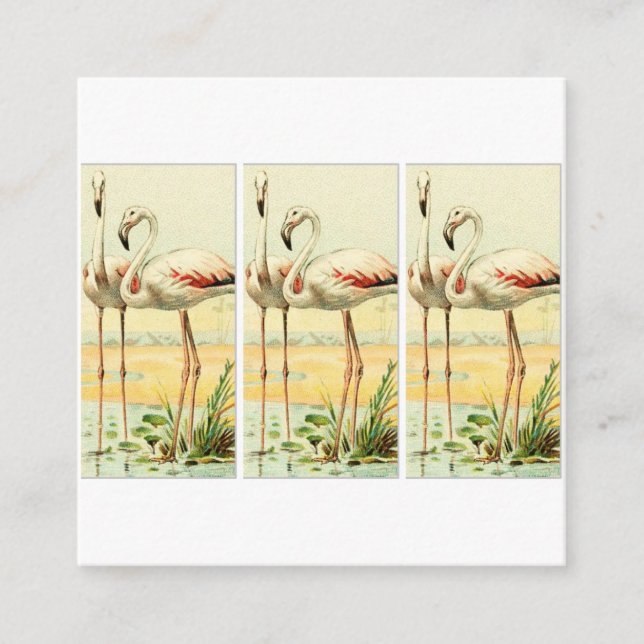 Vintage Flamingo Enclosure Card (Front)