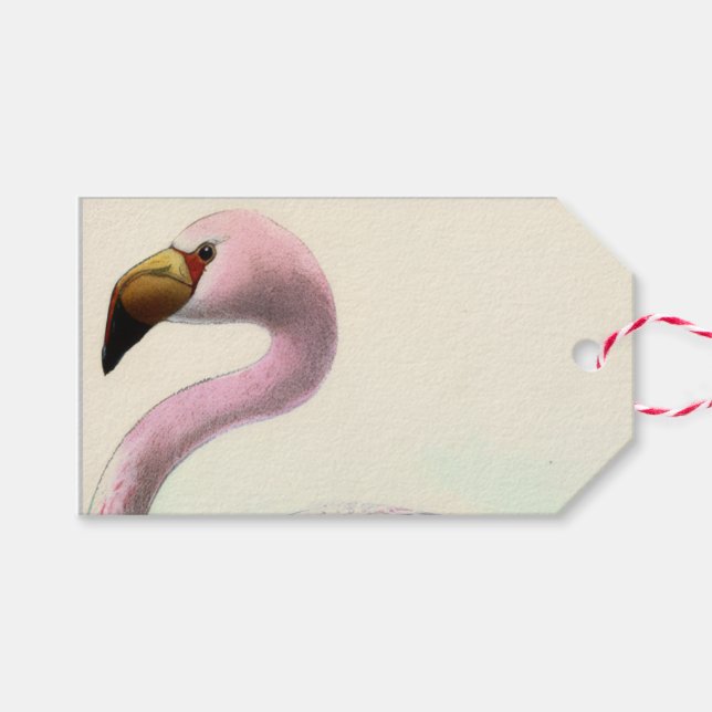 Vintage Flamingo Gift Tags (Front (Horizontal))
