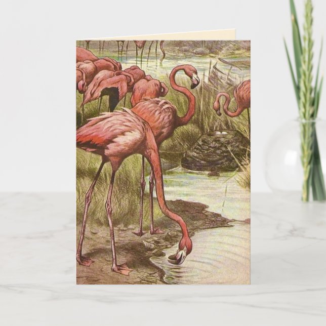 Vintage Flamingo Mother's Day Card (Front)
