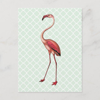 Vintage Flamingo on Mint Quatrefoil Postcard