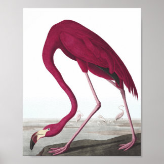 Vintage Flamingo Poster