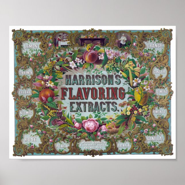 Vintage Flavouring Extract Ad Poster (Front)