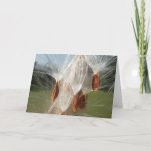 Vintage Flora and Fauna Milkweeds Floating.jpg Card