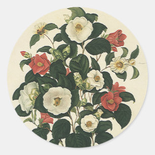 Vintage Floral, Antique Garden Roses Flowers Classic Round Sticker