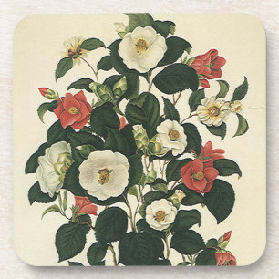 Vintage Floral, Antique Garden Roses Flowers Coaster