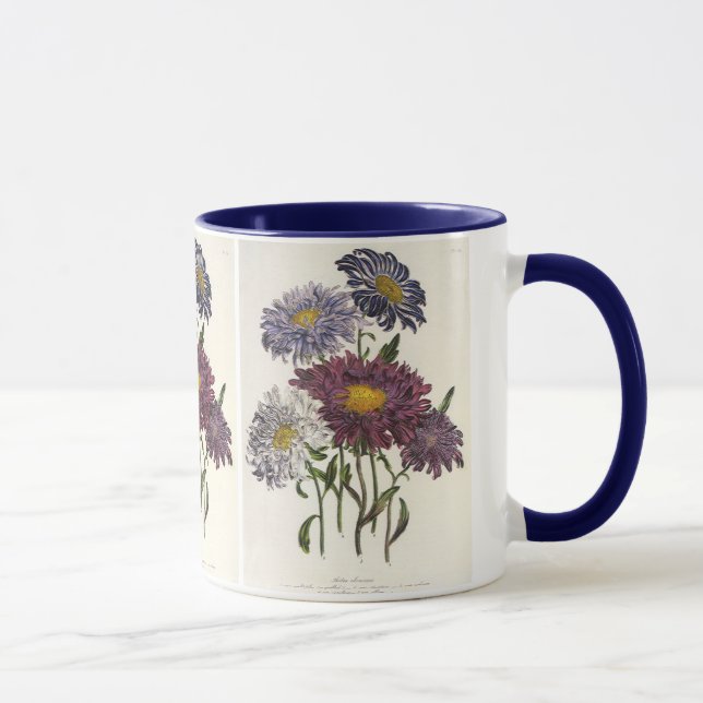Vintage Floral, Antique Purple Aster Flowers Mug (Right)
