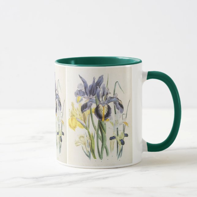 Vintage Floral Botany, Garden Iris Flowers Mug (Right)