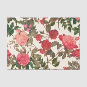 Vintage Floral Cream Pink Rose Garden Tissue Paper