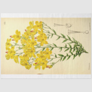 Vintage Floral Ephemera Decoupage Yellow Flowers Tissue Paper