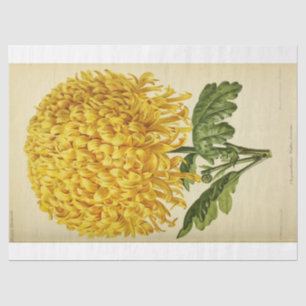 Vintage Floral Ephemera Decoupage Yellow Flowers Tissue Paper