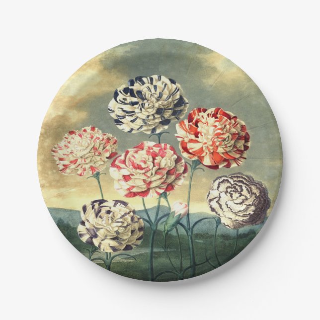 Vintage Floral Paper Plates (Front)