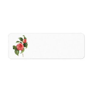 Vintage Floral, Pink Camellia Flowers by Redoute Return Address Label
