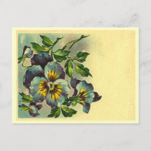 Vintage Floral Postcard