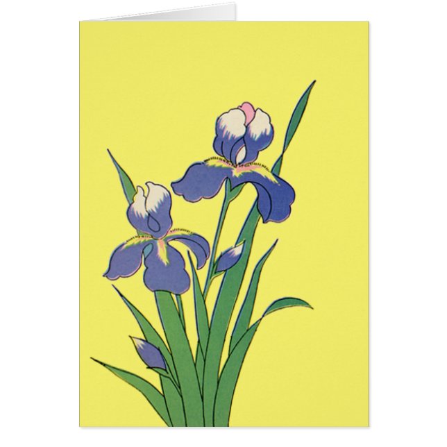Vintage Floral, Purple Spring Garden Iris Flowers (Front)