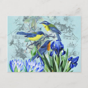 Vintage Floral Songbirds Apparel and Gifts Postcard