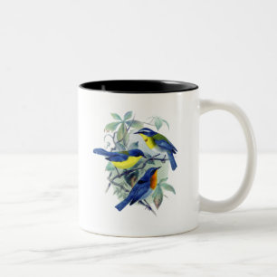 Vintage Floral Songbirds Apparel and Gifts Two-Tone Coffee Mug