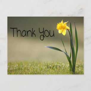 Vintage Floral Thank You Yellow Daffodil Flower Postcard