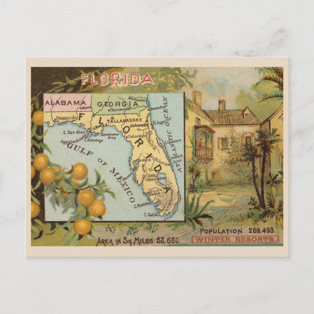 Vintage Florida 1880s Advertising with Map Postcard (Front)