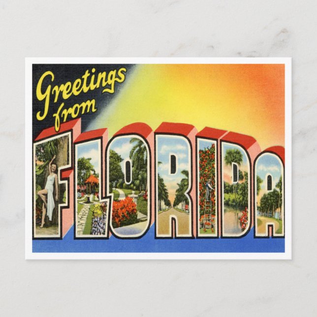 Vintage Florida Announcement Postcard (Front)
