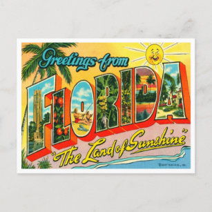 Vintage Florida Announcement Postcard